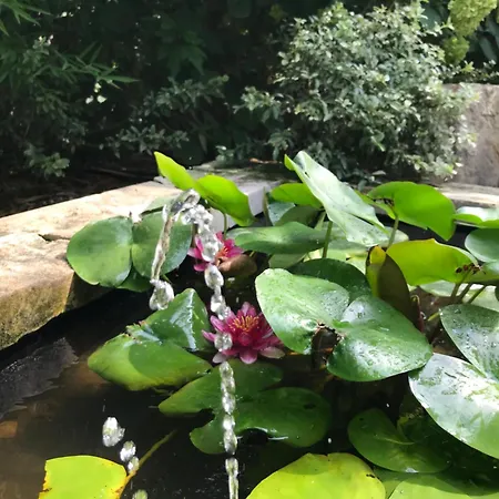 пространства за гости синият час - The Glass Moon Διαμέρισμα *