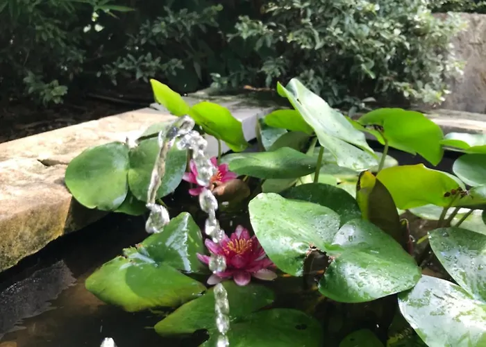 пространства за гости синият час - The Glass Moon Daire *